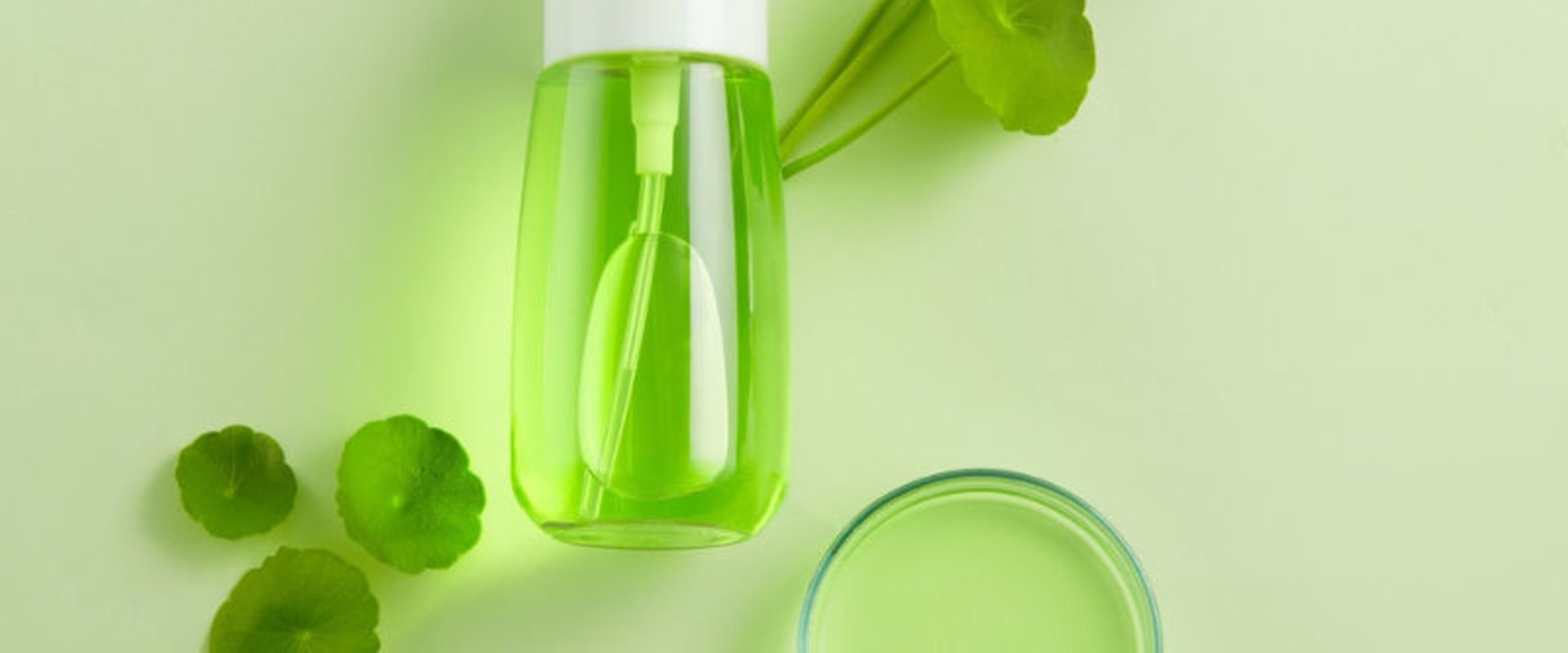 Unlocking the Incredible Benefits of Centella Asiatica (Gotu Kola) for Your Skin
