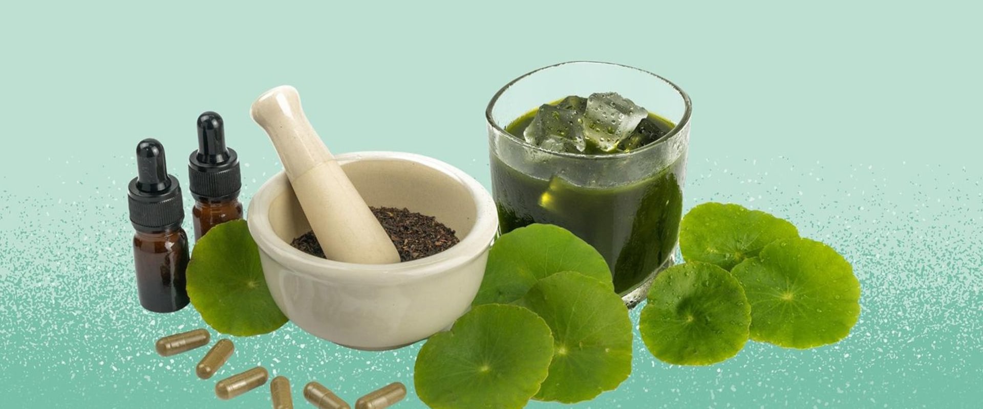 The Incredible Healing Powers of Centella Asiatica: Exploring Gotu Kola Benefits