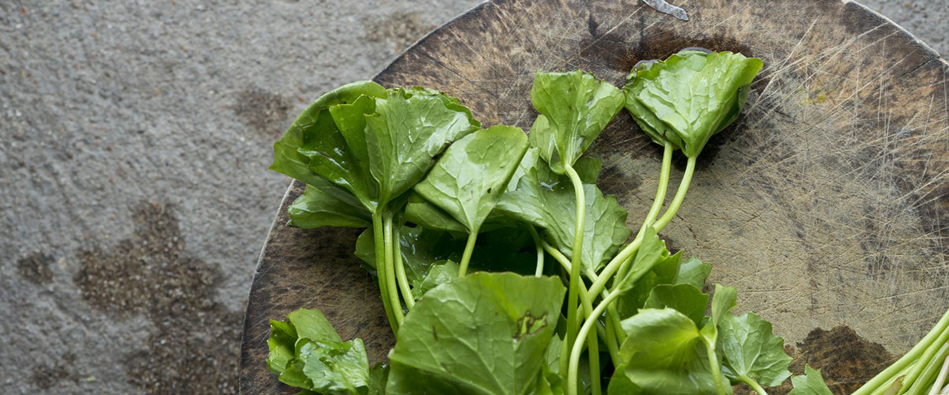 The Surprising Effects of Gotu Kola on Hormones: Unveiling the Benefits